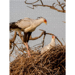 CALVENDO Puzzle CALVENDO Puzzle Sekretar beim Nisten Пазл CALVENDO Пазл секретер вложенность