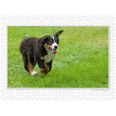 CALVENDO Puzzle CALVENDO Puzzle Emotionale Momente: Der beste Freund des Menschen. \/ CH-Version Пазл CALVENDO Пазл Эмоциональные моменты: Лучший друг человека. \/ версия CH