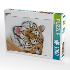 CALVENDO Puzzle CALVENDO Puzzle Amurtiger Пазл CALVENDO Пазл Амурский тигр