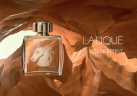 Lalique Pour Homme Equus Eau de Parfum Мужской парфюм, древесно-фужерный аромат с ветивером и мускусом, 75мл