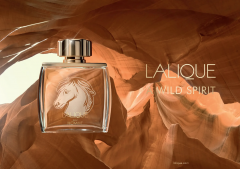 Lalique Pour Homme Equus Eau de Parfum  Мужской парфюм, древесно-фужерный аромат с ветивером и мускусом, 75мл