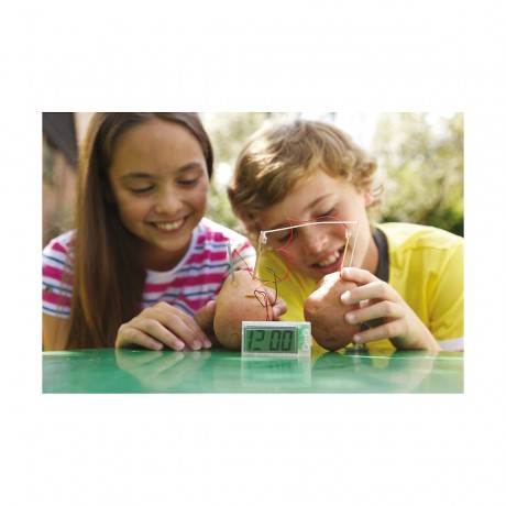 4M Green Science Зеленая наука