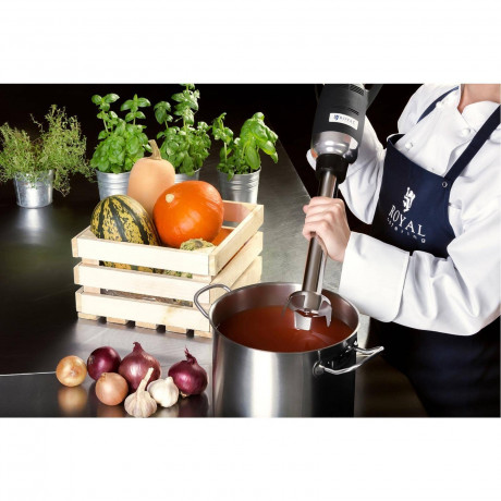 Royal Catering Royal Catering Stabmixer Stabmixer 350 W 400mm geschwindigkeit 4000-16 000 U/min, 350 W  Ручной блендер Royal Catering ручной блендер 350 Вт 400 мм скорость 4000-16 000 об/мин, 350 Вт