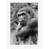 CALVENDO Puzzle CALVENDO Puzzle Emotionale Momente: Gorillas in black white \/ CH-Version Пазл CALVENDO Puzzle Эмоциональные моменты: гориллы в черно-белом / Швейцарская версия