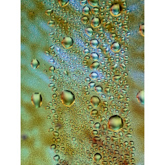 CALVENDO Puzzle CALVENDO Puzzle Gazastreifen Пазл CALVENDO Пазл Газа