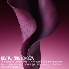 DIOR C.E.L.L. ENERGY Firming &amp; Wrinkle-Correcting Creme  КЛЕТКА. ENERGY Укрепляющий крем против морщин