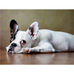 CALVENDO Puzzle CALVENDO Puzzle Bart Пазл CALVENDO Puzzle Борода