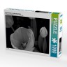 CALVENDO Puzzle CALVENDO Puzzle Tulpenbluten in schwarz\/weiss Пазл CALVENDO Puzzle Tulip расцветает в черно-белом цвете