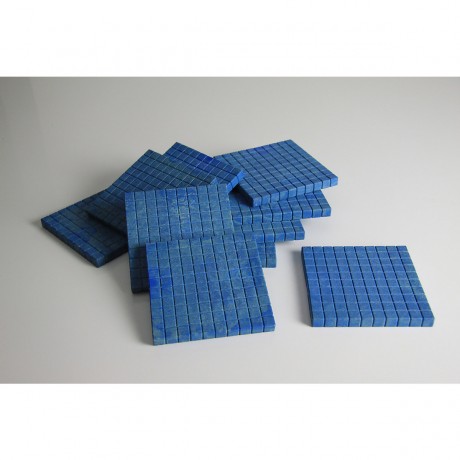 Wissner aktiv lernen Dienes Hunderterplatten blau (10 Stuck) Диенские сто тарелки синие (10 шт.)