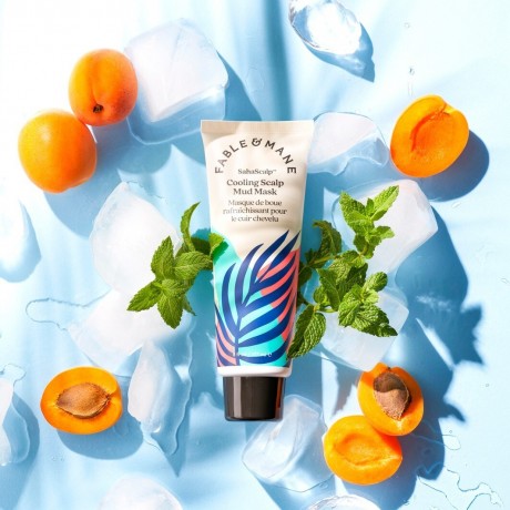 Fable  Mane SahaScalp Cooling Scalp Mud Mask  Saha Scalp Охлаждающая грязевая маска для кожи головы