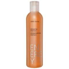 LANS Derma  Haarshampoo Energy, 250 мл