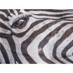 CALVENDO Puzzle CALVENDO Puzzle Der Blick des Zebras Пазл CALVENDO Puzzle Взгляд зебры