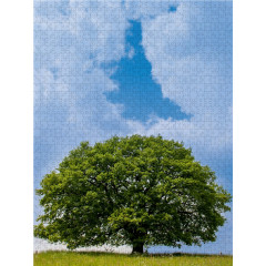 CALVENDO Puzzle CALVENDO Puzzle April: Mitte April ist es schon warm und die Eiche steht im wunderbaren Grun. Пазл CALVENDO Puzzle Апрель: В середине апреля уже тепло