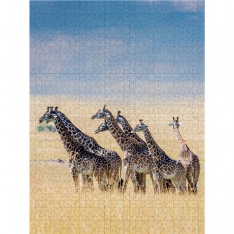 CALVENDO Puzzle CALVENDO Puzzle Emotionale Momente: Giraffen Пазл CALVENDO Puzzle Эмоциональные моменты: Жирафы