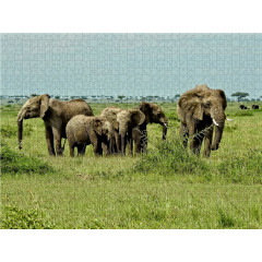 CALVENDO Puzzle CALVENDO Puzzle Elefantenherde Пазл CALVENDO Пазл стадо слонов