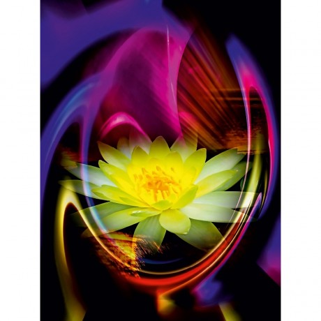 CALVENDO Puzzle CALVENDO Puzzle Romantic Blumentraume Пазл CALVENDO Puzzle Романтические цветочные мечты