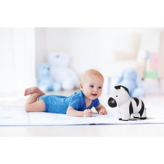 The Musical Animals Музыкальные животные