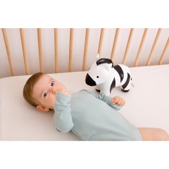 The Musical Animals Музыкальные животные