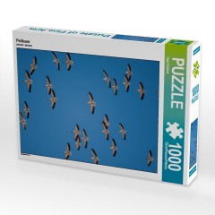 CALVENDO Puzzle CALVENDO Puzzle Pelikane Пазл CALVENDO Пазл Пеликаны