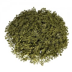 LEGO LEGO 4x3 Blatter Olivgrun - 250 Stuck - oliv green leaf 2423 LEGO 4x3 листья оливково-зеленые - 250 штук - оливково-зеленые листья 2423