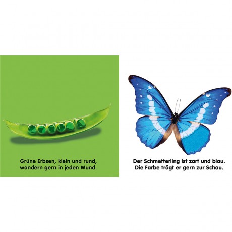 Dorling Kindersley Verlag Mein Fuhlbilderbuch: Farben Книга с картинками о моих чувствах: цвета