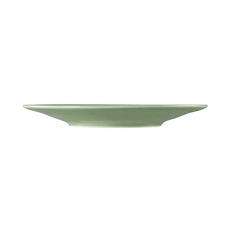 Seltmann Weiden Seltmann Weiden Beat Salbeigrun Kombi-Untertasse gross 16,5 cm Seltmann Weiden Beat sage green комбинированное блюдо большое 16,5 см