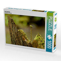 CALVENDO Puzzle CALVENDO Puzzle Gut behutet Пазл CALVENDO Puzzle Хорошо защищен