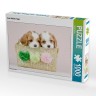 CALVENDO Puzzle CALVENDO Puzzle Zwei kleine Feger Пазл CALVENDO Puzzle Два маленьких дворника