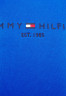 Tommy Hilfiger REGULAR Hoodie electric blue ОБЫЧНЫЙ Толстовка с капюшоном синий электрик