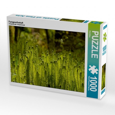 CALVENDO Puzzle CALVENDO Puzzle Farngesellschaft Пазл CALVENDO Puzzle общество папоротников