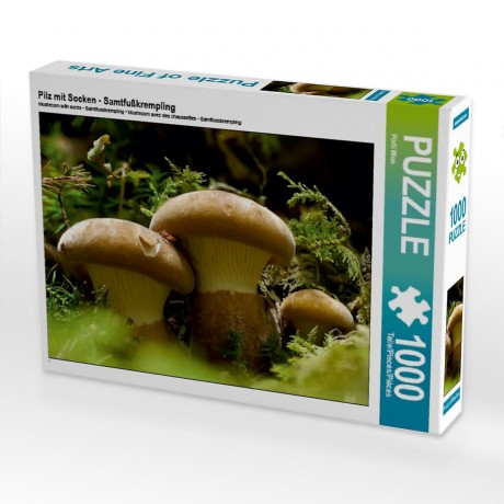 CALVENDO Puzzle CALVENDO Puzzle Pilz mit Socken Пазл CALVENDO Пазл гриб с носками