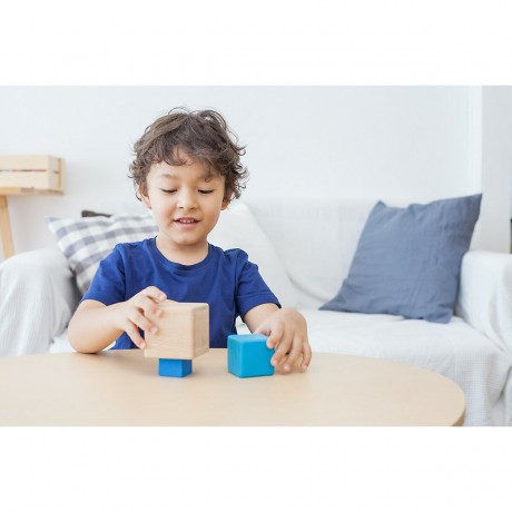 PLANTOYS Motorik Essential Serie: Stapelwurfel Motorikspielzeug Серия «Основные моторные навыки»: набор игрушек для развития двигательных навыков