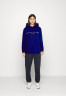 Tommy Hilfiger REGULAR Hoodie bold blue ОБЫЧНЫЙ Толстовка с капюшоном смелый синий