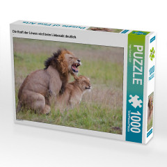 CALVENDO Puzzle CALVENDO Puzzle Die Kraft der Lowen wird beim Liebesakt deutlich. Пазл CALVENDO Puzzle Сила львов становится очевидной во время акта любви.