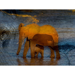 CALVENDO Puzzle CALVENDO Puzzle Emotionale Momente: African Dreams Пазл CALVENDO Puzzle Emotional Moments: African Dreams