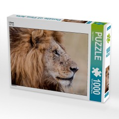 CALVENDO Puzzle CALVENDO Puzzle Lowe Пазл CALVENDO Puzzle Lowe