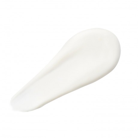 Christophe Robin Melting Mask With Aloe Vera Тающая маска с алоэ вера