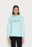 Tommy Hilfiger REGULAR Hoodie polar ice ОБЫЧНЫЙ Толстовка с капюшоном полярный лед