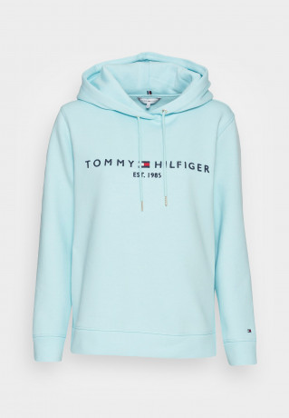 Tommy Hilfiger REGULAR Hoodie polar ice ОБЫЧНЫЙ Толстовка с капюшоном полярный лед