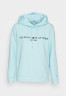 Tommy Hilfiger REGULAR Hoodie polar ice ОБЫЧНЫЙ Толстовка с капюшоном полярный лед