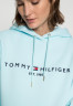 Tommy Hilfiger REGULAR Hoodie polar ice ОБЫЧНЫЙ Толстовка с капюшоном полярный лед