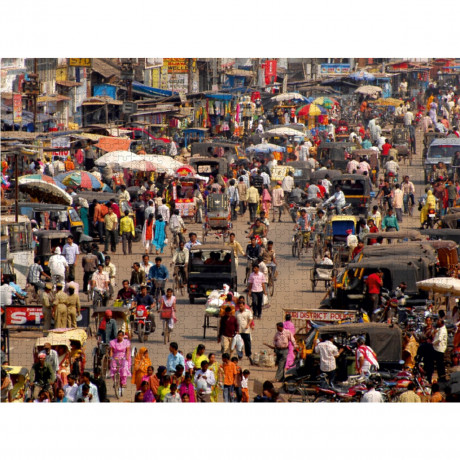 CALVENDO Puzzle CALVENDO Puzzle Puri Пазл CALVENDO Puzzle Пури