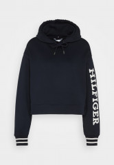 Tommy Hilfiger MONOTYPE CROP HOODIE Sweatshirt desert sky MONOTYPE CROP HOODIE Свитер небо пустыни