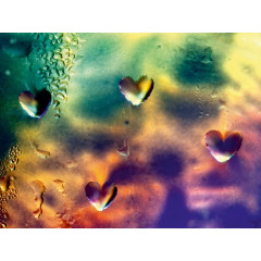 CALVENDO Puzzle CALVENDO Puzzle Familie Regenbogen Himmel Пазл CALVENDO Puzzle family радужное небо