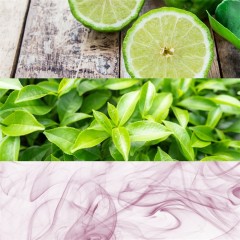 Calvin Klein (Кельвин Кляйн) CK ONE  Deodorant Stick Дезодорант Стик унисекс, 75 г