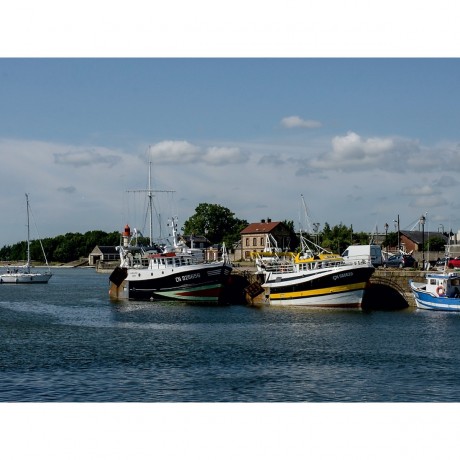 CALVENDO Puzzle CALVENDO Puzzle Normandie und der blumigen Kuste Пазл CALVENDO Puzzle Нормандия и Цветочное побережье