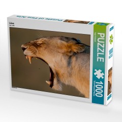 CALVENDO Puzzle CALVENDO Puzzle Lowe Пазл CALVENDO Puzzle Lowe