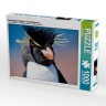 CALVENDO Puzzle CALVENDO Puzzle Rockhopper Pinguin in Sud-Patagonien Пазл CALVENDO Puzzle Пингвин Rockhopper в южной Патагонии