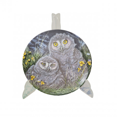 Wedgwood England Декоративная тарелка "Совята", 17см, Англия, 1960-70гг.