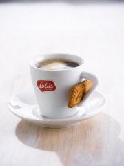 Lotus Biscoff Печенье карамельное 250г